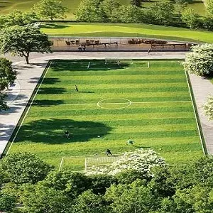 Football ground at Indiabulls Estate and Club